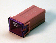 figure 1 border=