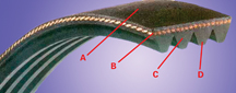 figure 1 border=