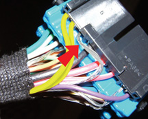 figure 1 border=